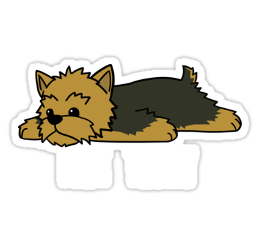 375x360 Funny Not Today Yorkshire Terrier Stickers By Ilovepaws Redbubble