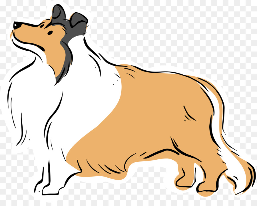 900x720 Pug French Bulldog Rough Collie Yorkshire Terrier Dog Breed