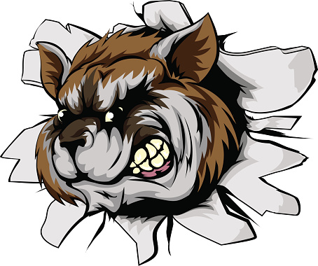 454x380 Scary Clipart Raccoon