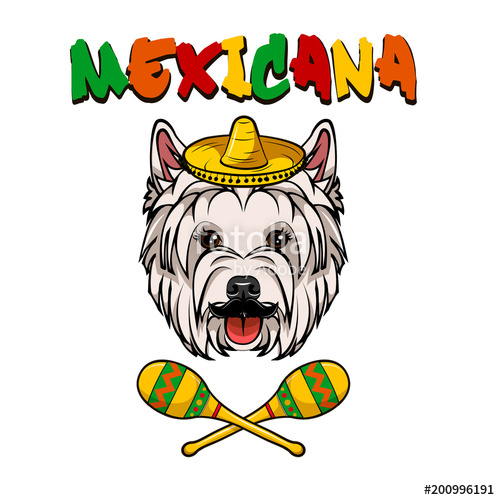 500x500 West Highland White Terrier. Sombrero, Maracas. Mexicana Colorful