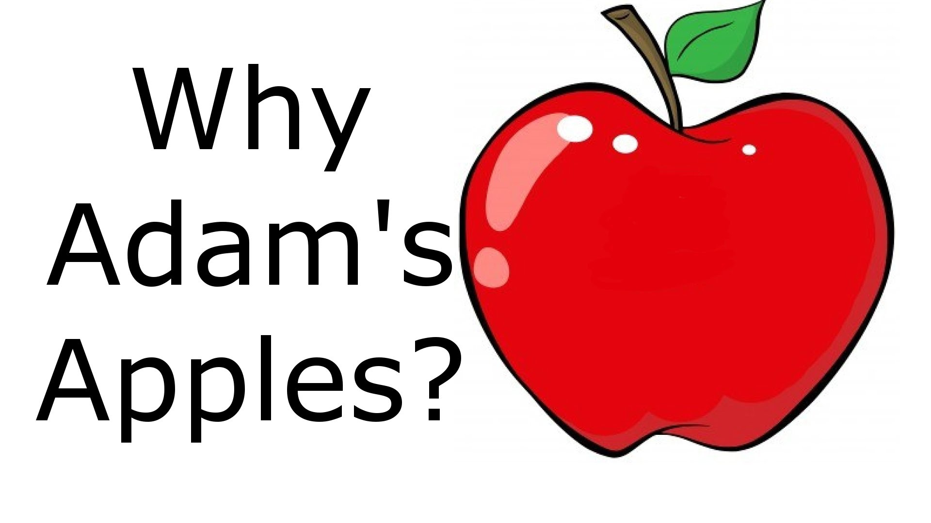1920x1080 Adam S Apple Clipart What Are Apples And Why Do Men Have Them