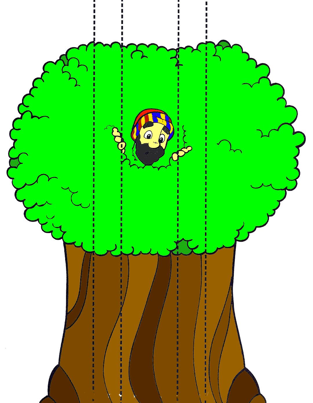 1081x1392 Zaqueo. Se Dobla Por Las Lineas Para Esconder A Zaqueo En El