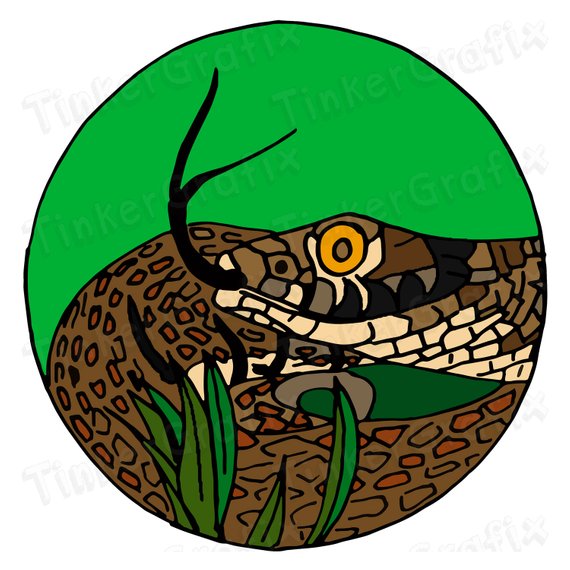 570x570 Hand Drawn Animals Clipart Globes, Zoo Animals, Monkey, Giraffe