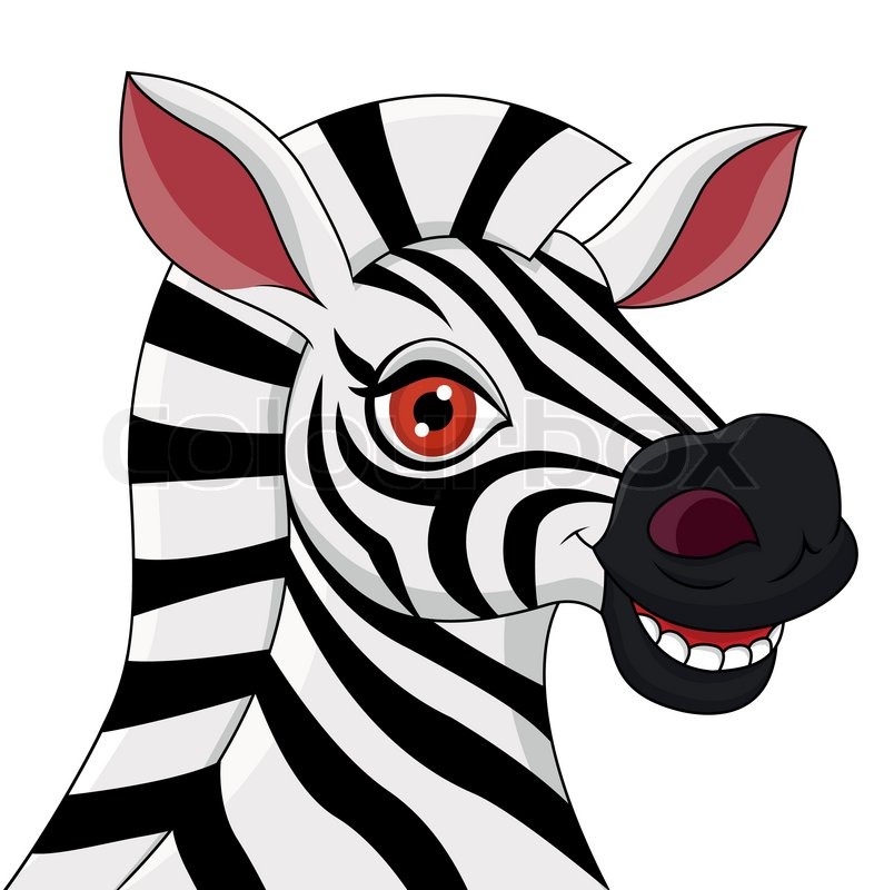 786x800 Vector Illustration Of Zebra Head Cartoon Stock Vector Colourbox
