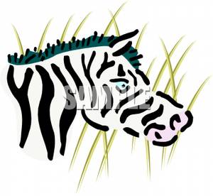 300x276 Zebra Head In Tall Grass Clipart Picture