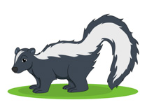 210x153 Skunk Clip Art Clipart