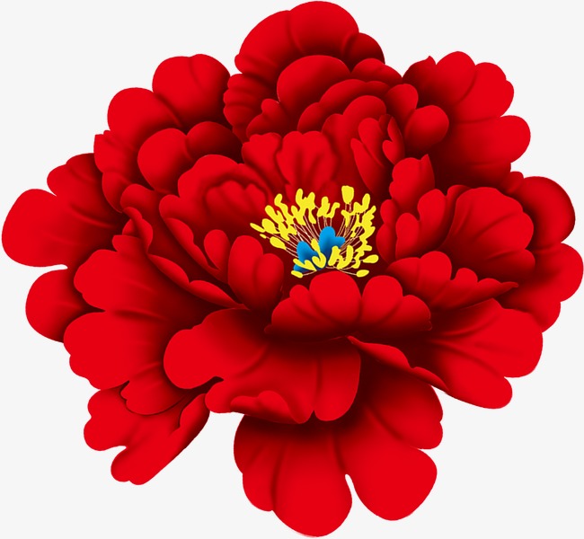 Zinnia Clipart