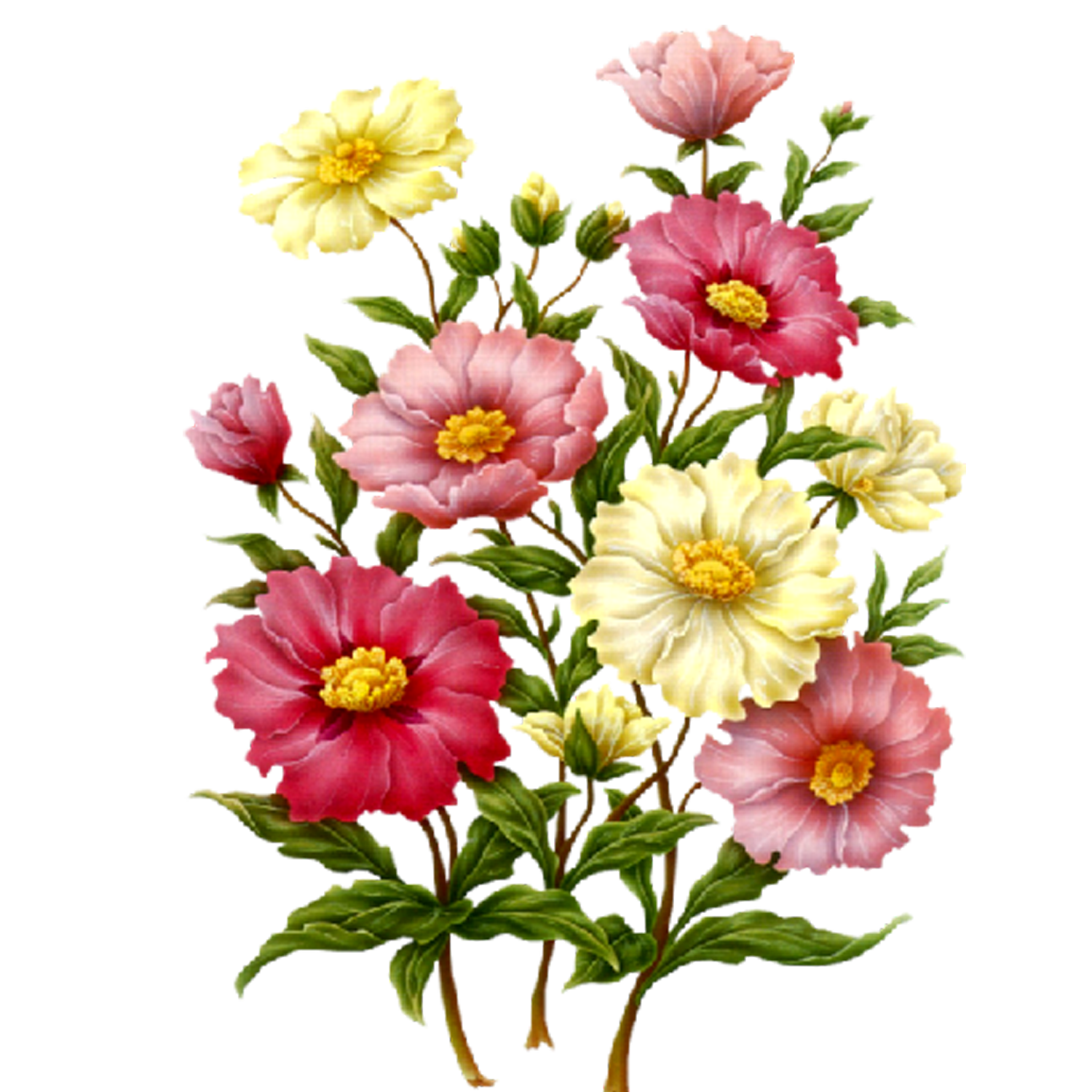1500x1500 Flowers Png Digi Art