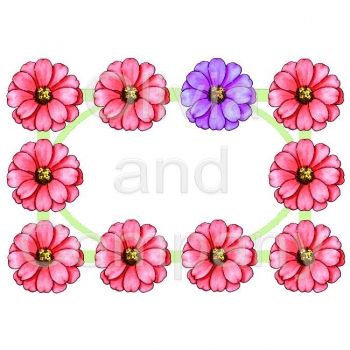 350x350 Zinnia Frame Digital Illustrations Shops, Frames