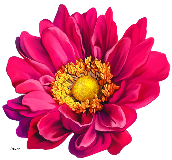 550x513 Tubes Fleurs Flowers Clip Art, Decoupage And Scrap