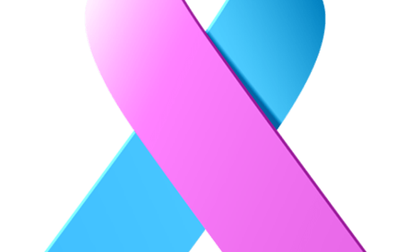 800x491 Hair Bow Clip Art Beauty Within Clinic