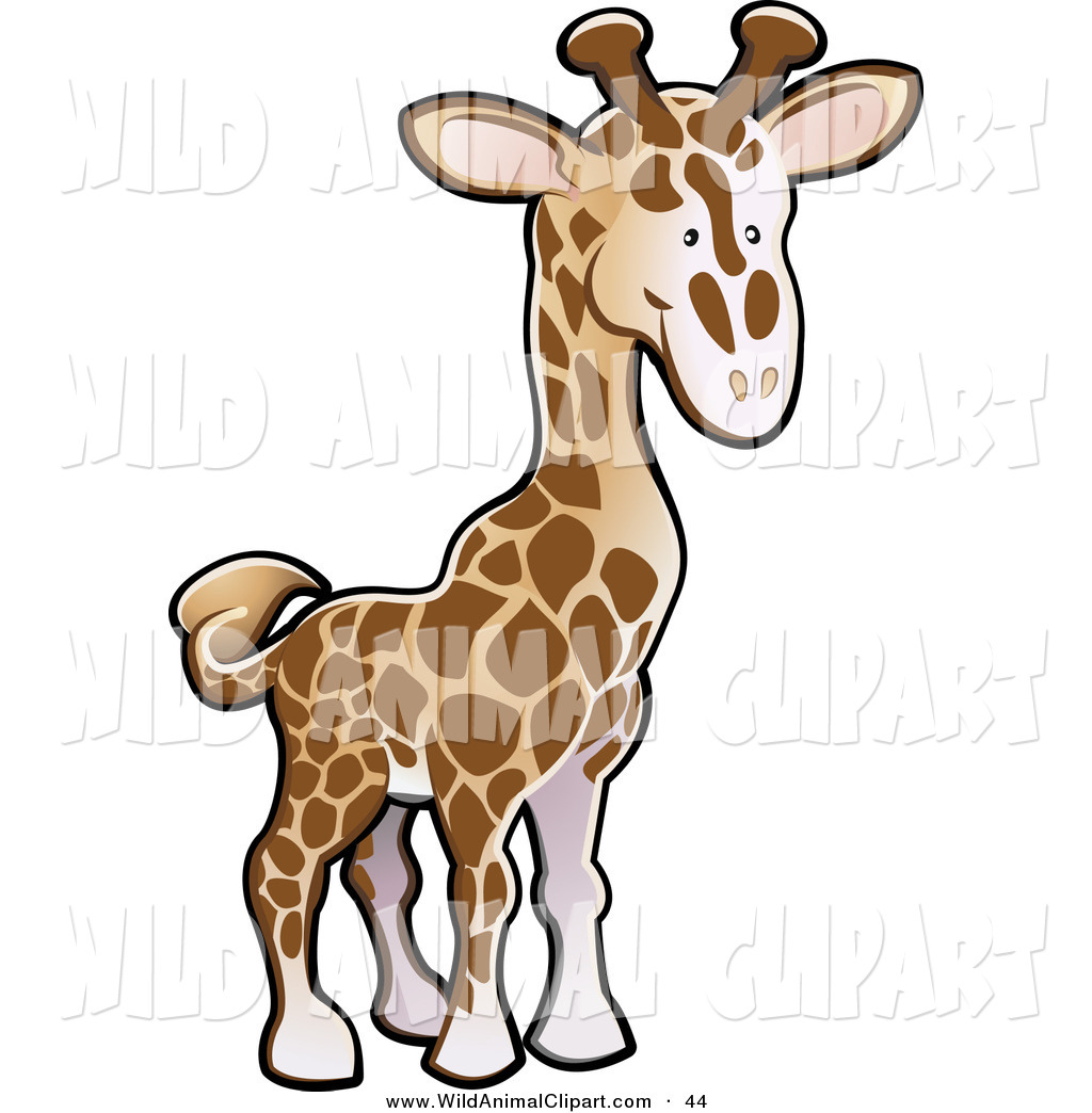 1024x1044 Royalty Free Stock Wildlife Designs Of Zoo Animals