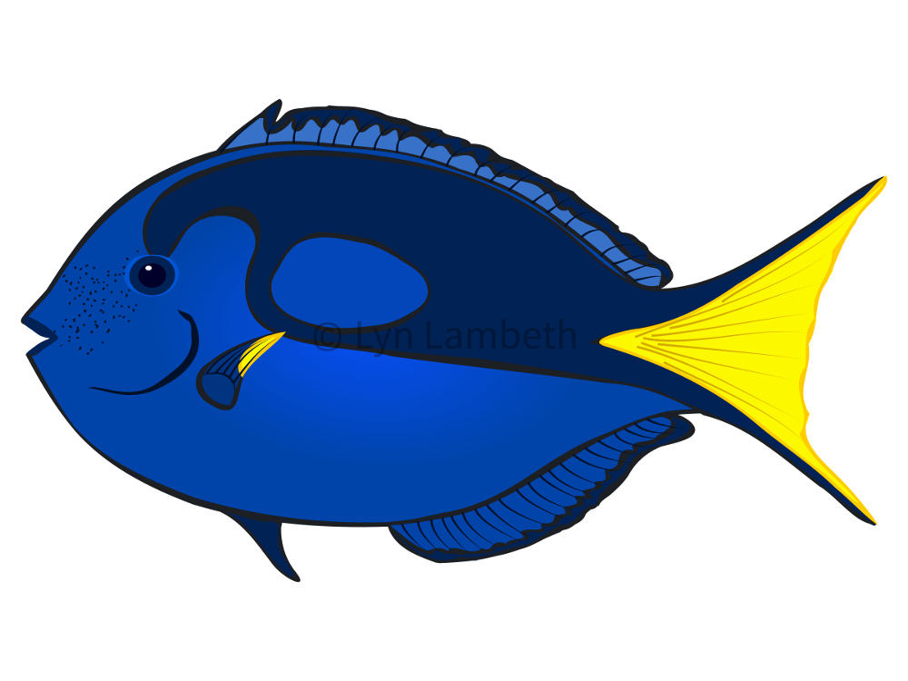 1000x750 Innovational Ideas Blue Fish Clipart Clip Art Instant Download