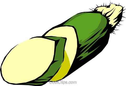 480x331 Zucchini Squash Royalty Free Vector Clip Art Illustration