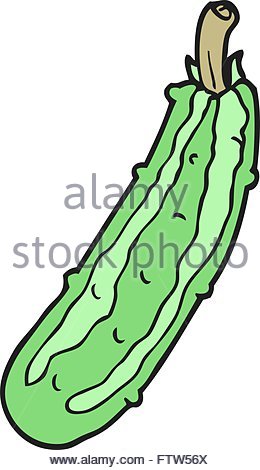260x470 Freehand Drawn Cartoon Zucchini Stock Vector Art Amp Illustration