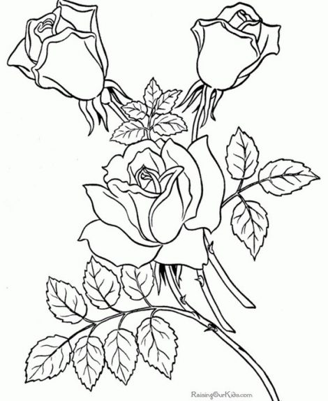 470x574 Coloring Page Free Pages To Color Coloring Sheets Roses Page