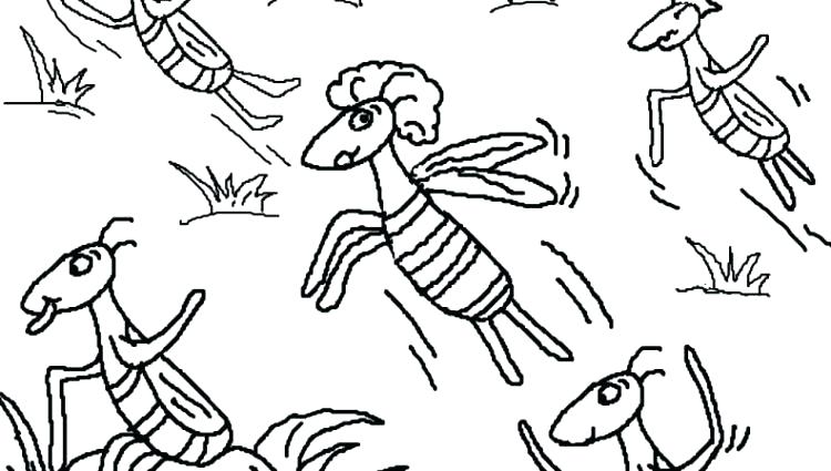 750x425 Plagues Coloring Pages Ten Plagues Coloring Pages X Plagues