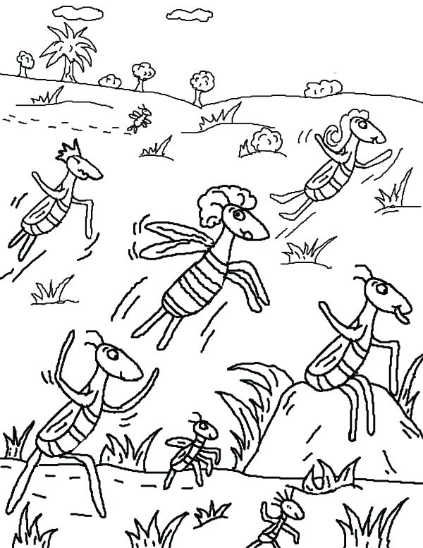 600x777 Plagues Of Egypt Coloring Pages