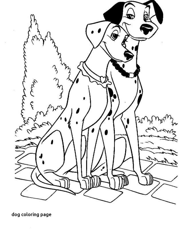 653x800 Best Dalmatians Coloring Pages Images On For Dog