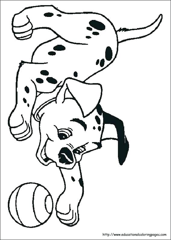 567x794 Dalmation Coloring Page Coloring Pages Coloring Pictures Cute