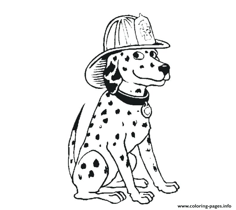 792x704 Dalmation Coloring Pages Dalmatian Fire Dog Coloring Pages