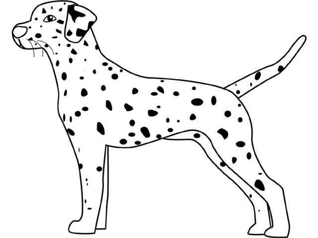 640x480 Dalmation Coloring Pages Of Page We Are All Magical Dalmatian