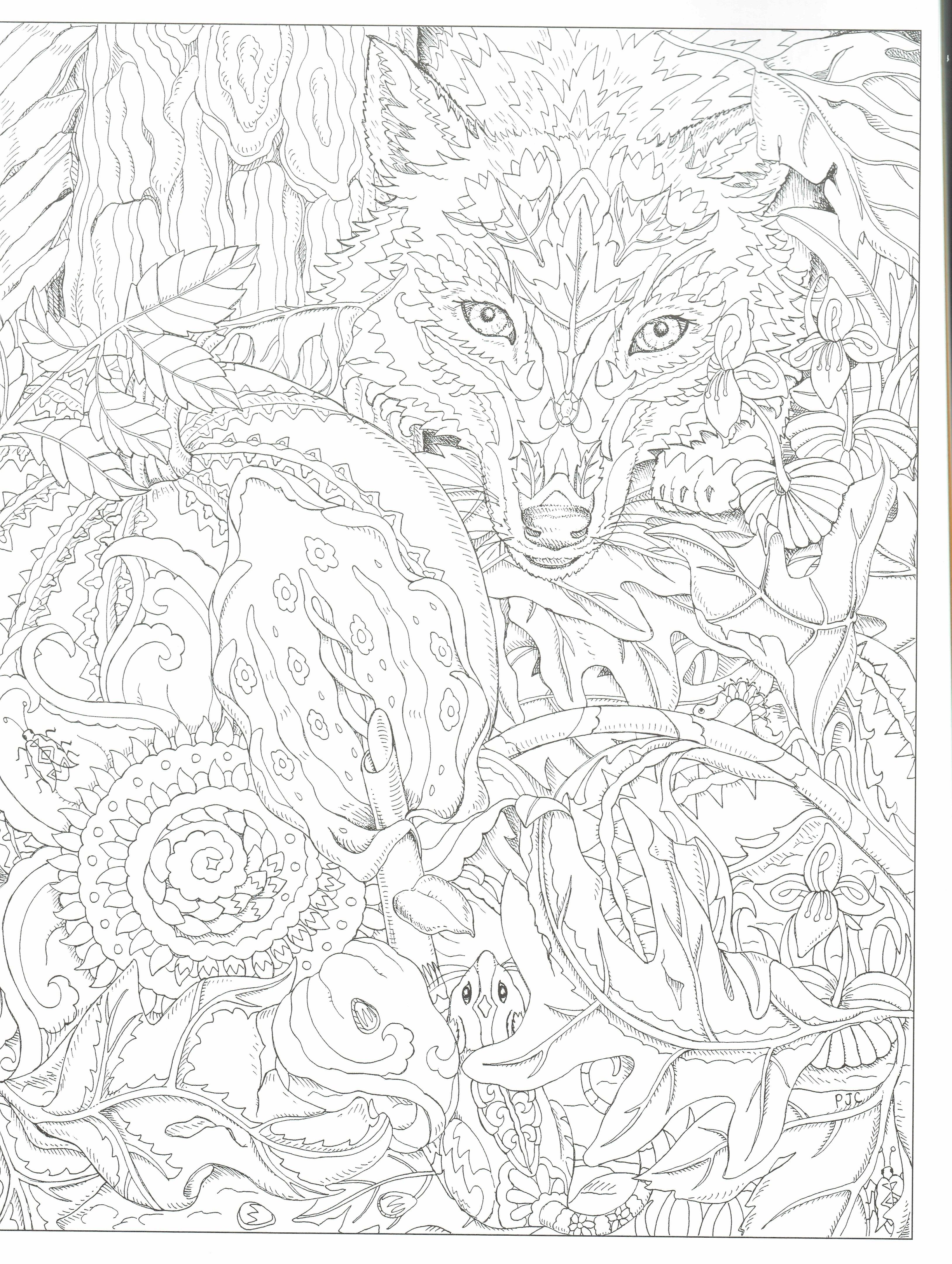 3256x4323 This Will Print On Just As Nice As Adult Coloring