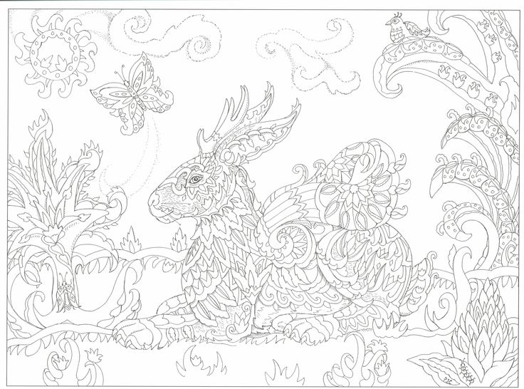 736x546 Best Adult Coloring Pages To Save And Print Images