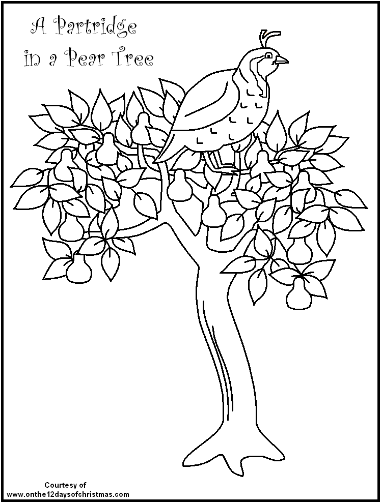 748x989 Days Of Christmas Coloring Pages