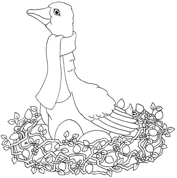 599x600 Days Of Christmas Coloring Pages Coloring Page Click Picture