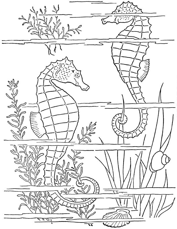 612x792 Adult Coloring Page