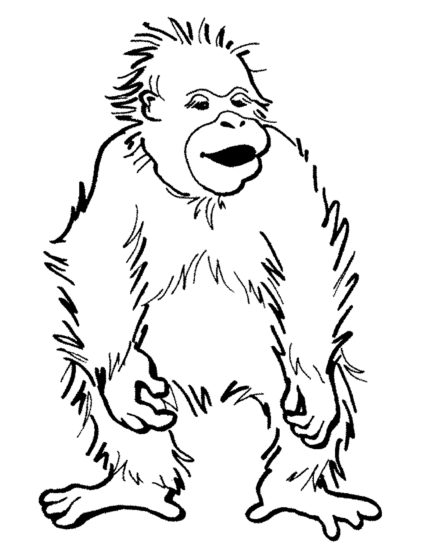 439x556 Kid's Fun Stuff