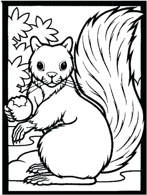 496x658 Grade Coloring Pages Coloring Pages For First Grade Coloring