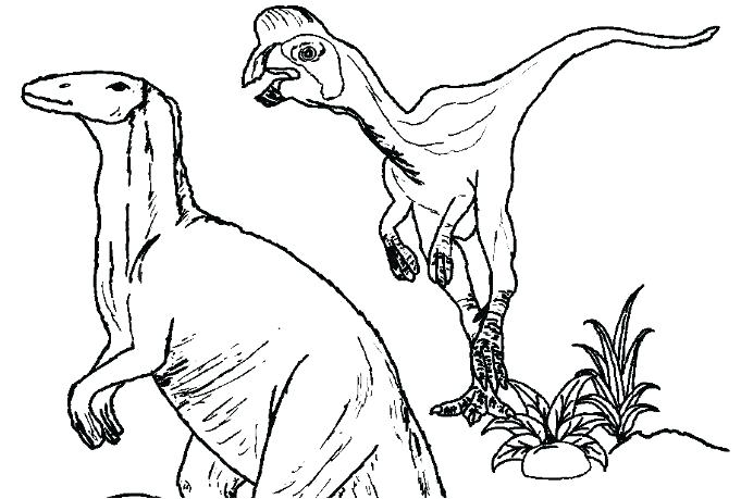 681x459 Velociraptor Coloring Page Coloring Page World Coloring Page