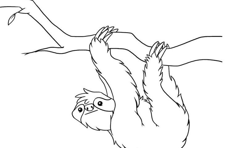 785x481 Grade Coloring Pages Grade Science Coloring Pages Kids