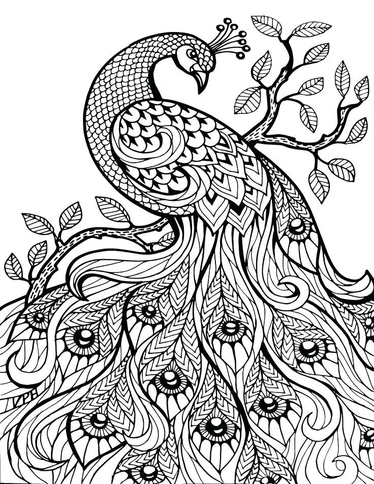 736x952 Coloring Pages For Adults Printable Animals Hard Animal Difficult