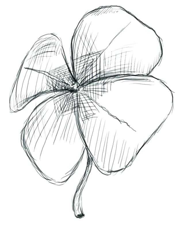 629x800 Astounding Leaf Clover Coloring Page
