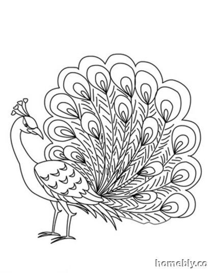 420x542 Peacock Coloring Pages Free Kids Activities