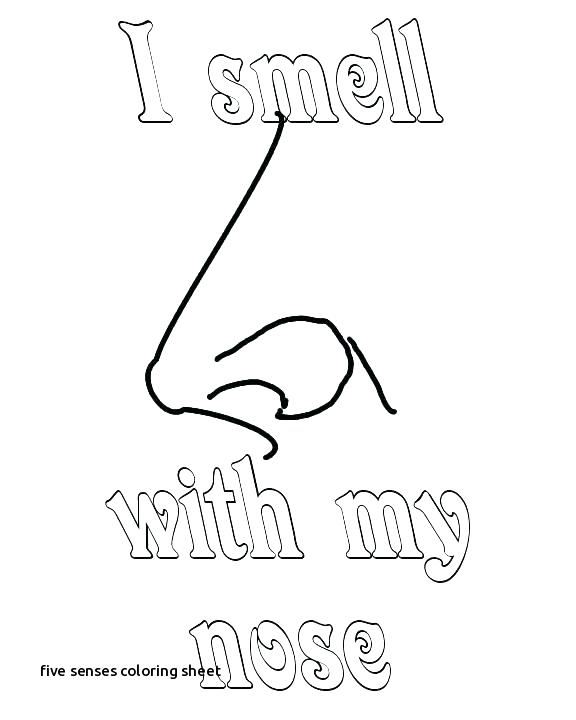 576x720 Five Senses Coloring Pages Five Senses Coloring Sheet