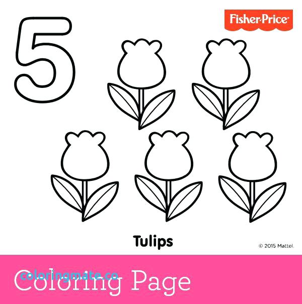 600x605 Number Coloring Page Number Coloring Page Lovely Learning