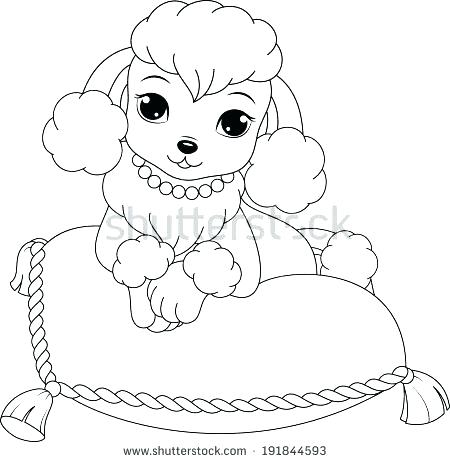 450x462 Baby Poodle Coloring Pages Poodle Coloring Page Poodle Coloring
