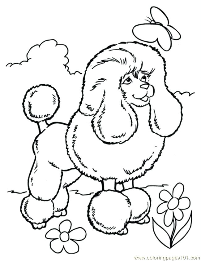 650x842 Poodle Coloring Page Poodle Coloring Page Poodle Coloring Page