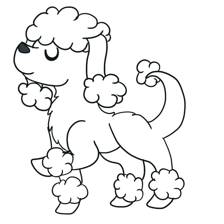 736x736 Poodle Coloring Page Poodle Coloring Pages To Print Poodle