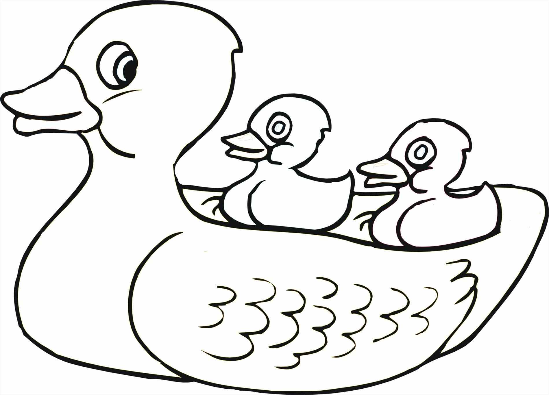 1899x1367 Duck Coloring Page Awesome Book Downloads Area Pages Duck