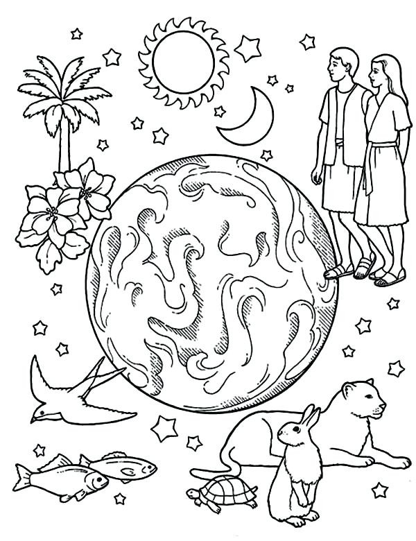 600x780 Days Of Creation Coloring Pages Luxury Creation Coloring Pages