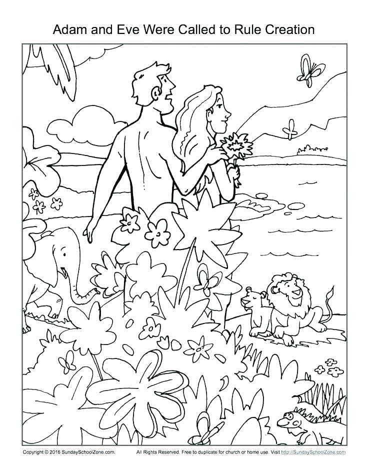 736x952 Seven Days Of Creation Coloring Pages Plus Seven Days Of Creation