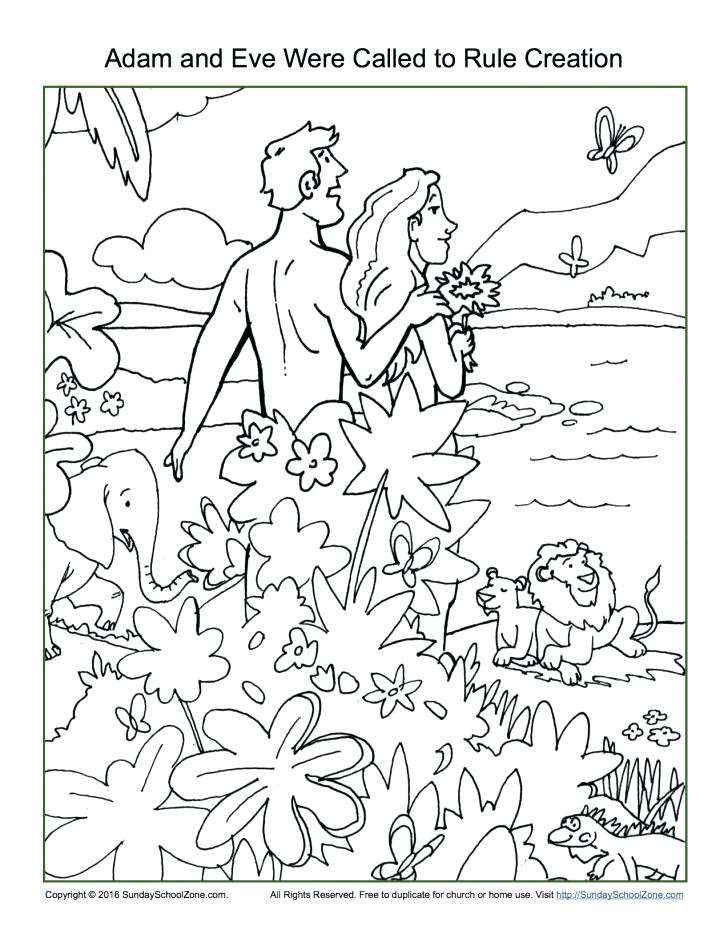 728x942 Days Of Creation Coloring Pages New Creation Coloring Pages