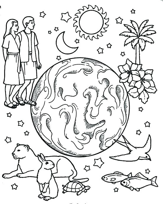 552x688 Creation Coloring Page Days Of Creation Animals Coloring Pages