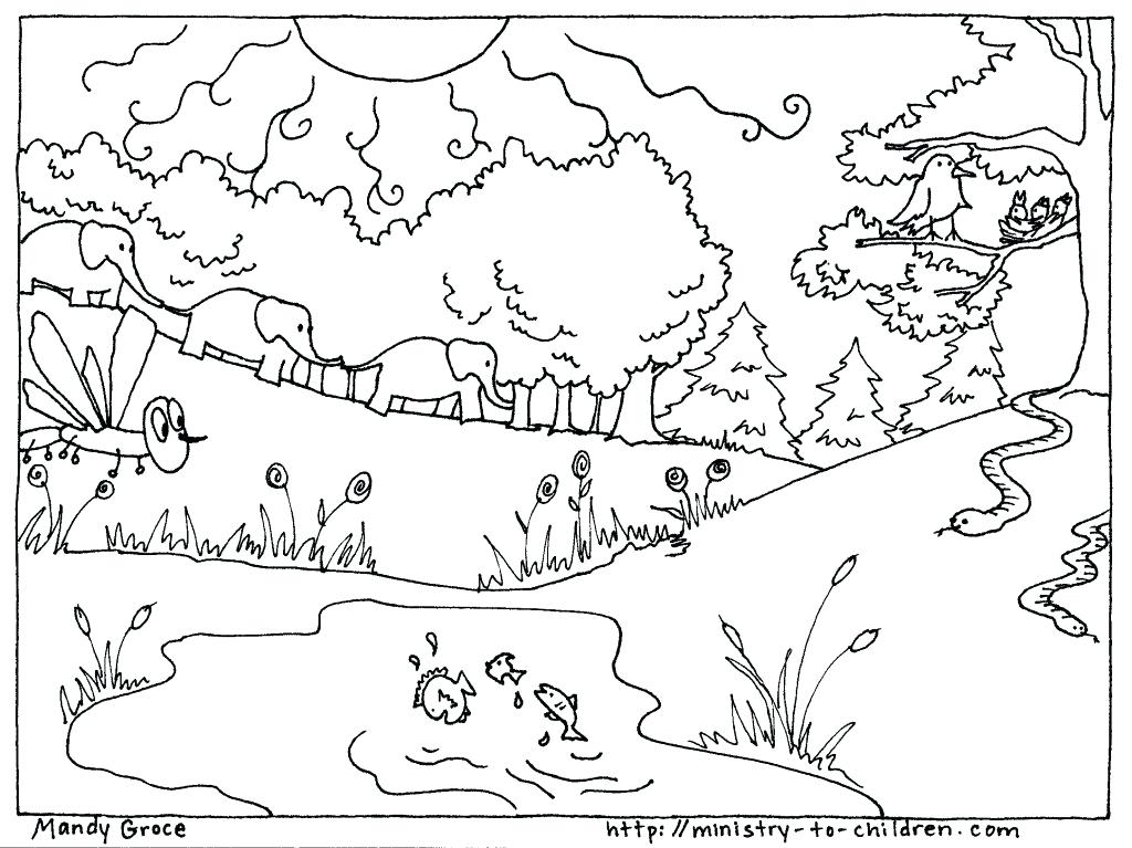 1024x767 Free Printable Days Of Creation Coloring Pages Days Creation Fifth