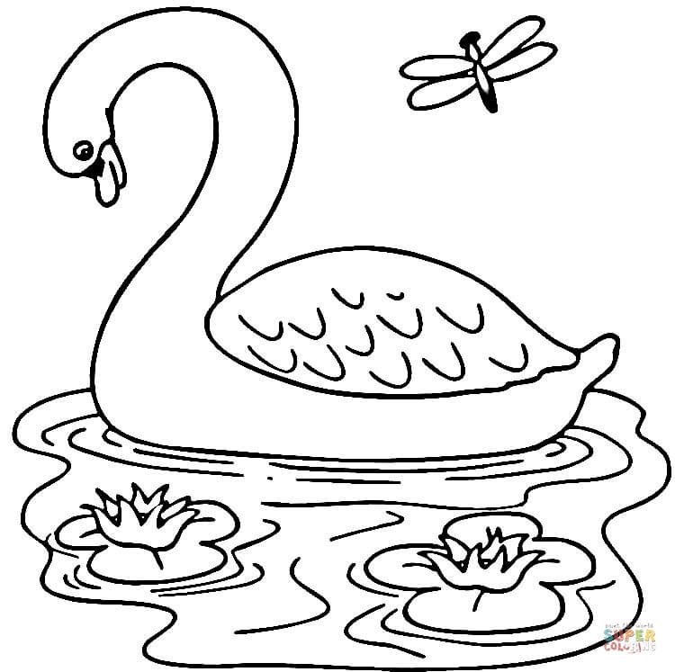 750x747 Swan In The Lake Coloring Page
